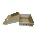 Printed Handle Box Cardboard Box with Plastic Handle Free Design